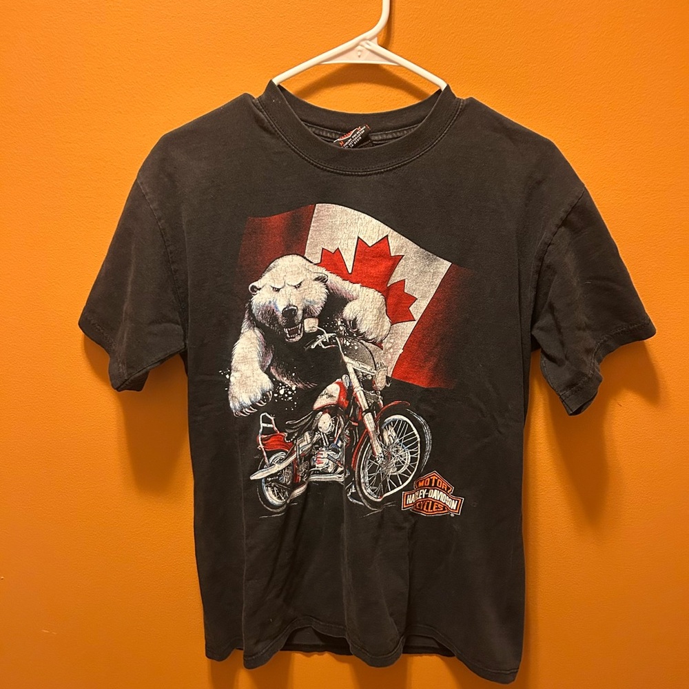 Rare Harley Davidson, polar bear T-shirt